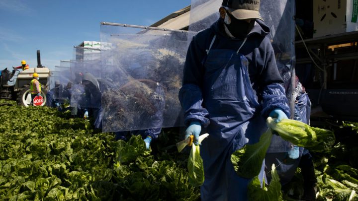 ¿Cómo encontrar un trabajo temporal en Estados Unidos?