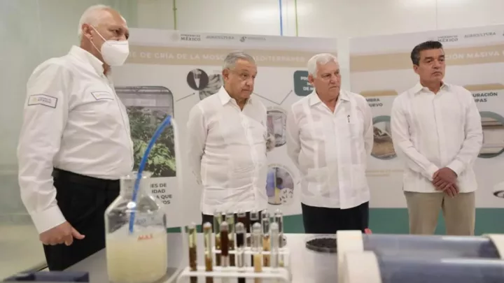 México insiste a Estados Unidos unirse al programa «Sembrando vidas»