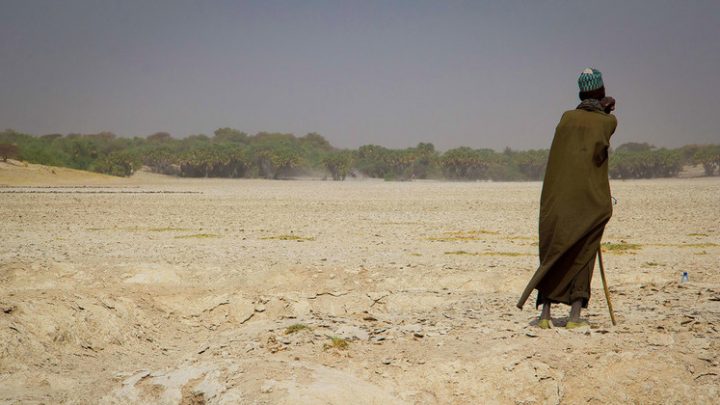 Cambio climático: El ser humano ha calentado el planeta a un nivel nunca visto en los últimos 2000 años