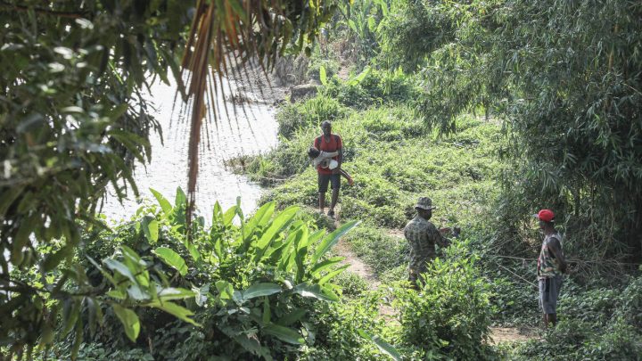 Casi 19.000 niños migrantes han cruzado la selva del Darién en 2021: UNICEF