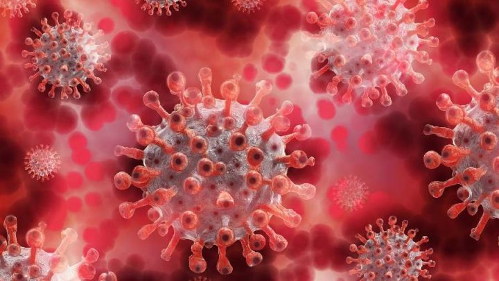 #EEUU Limita viajes desde Sudáfrica y otros 7 países por #COVID19 #Omicrón