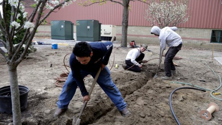 EE. UU. anuncia que ya están disponibles las visas H-2B para trabajadores temporales