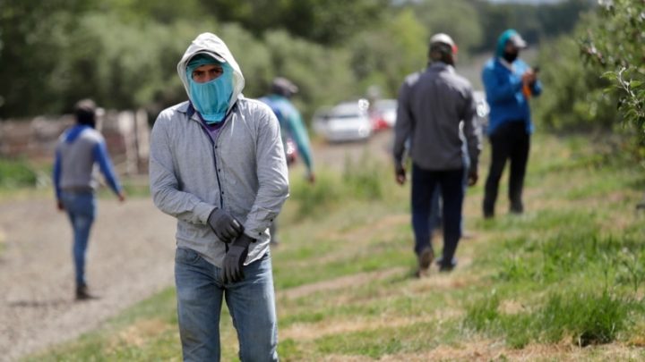 EE. UU. busca agilizar la concesión de visas a trabajadores temporales de Centroamérica y Haití