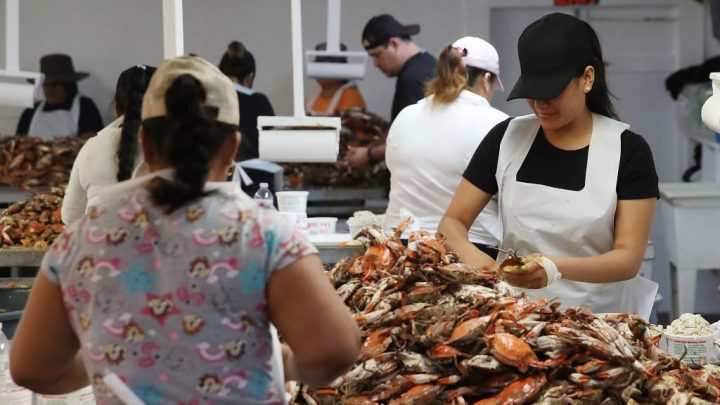 Requisitos y cómo solicitar una visa de trabajo temporal H-2B en Estados Unidos