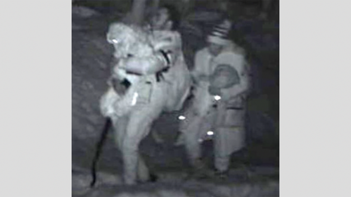 Sube la cifra de migrantes que cruzan la frontera de Canadá a EEUU en temperaturas gélidas