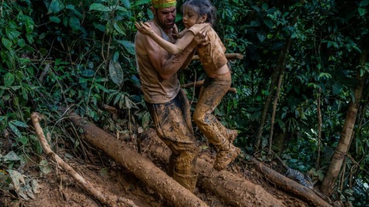 Más de 248 mil inmigrantes han cruzado la selva del Darién este año