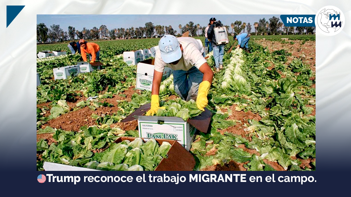 👷‍♂️🇺🇸 Trump reconoce el trabajo migrante en el campo