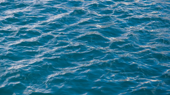 Recuperan cinco migrantes y 66 sobrevivientes tras naufragio en aguas al oeste de Puerto Rico