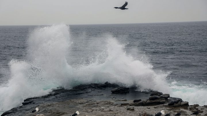 Tormenta tropical Kay: ráfagas con fuerza de huracán se sienten en California