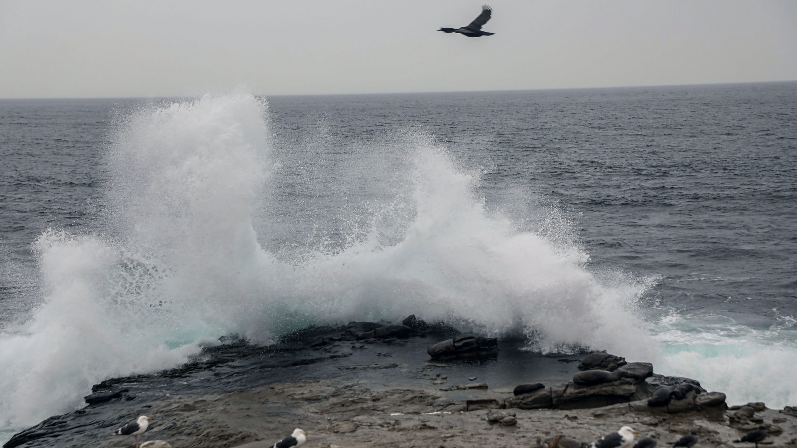 Tormenta tropical Kay: ráfagas con fuerza de huracán se sienten en California