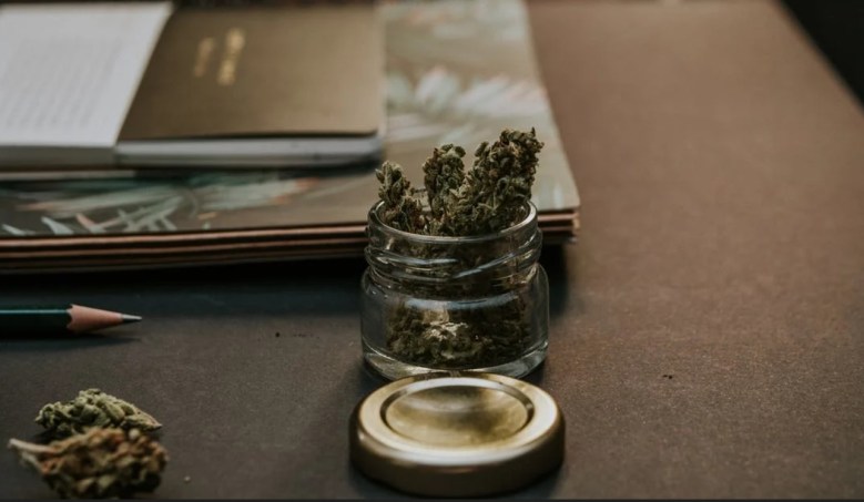 Inmigrantes latinos que usan marihuana recreativa no está protegidos por las leyes