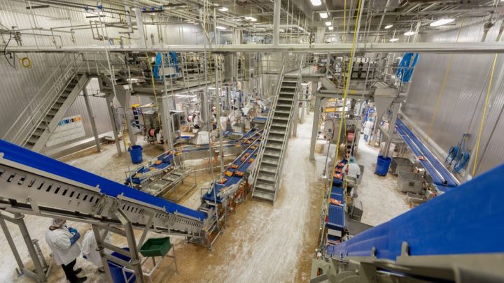 Tyson y Perdue habrían expuesto a trabajos peligrosos a niños inmigrantes