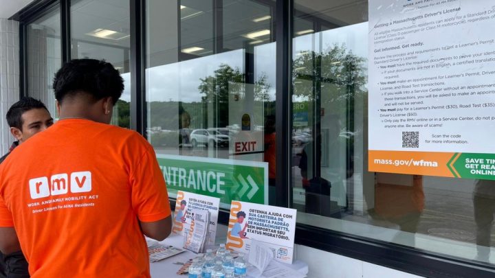 Conoce los detalles del primer semestre de las licencias de conducir para inmigrantes en MA